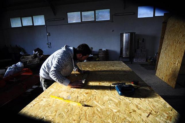 progetto saltus avis