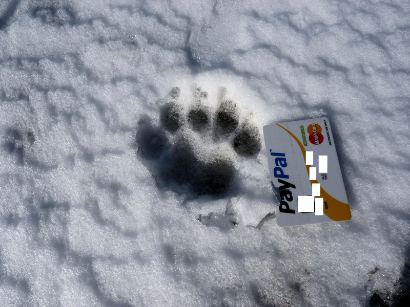 Impronte sul Gargano