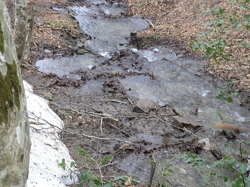 Ancora pi� in alto, dove si scioglie la neve ....