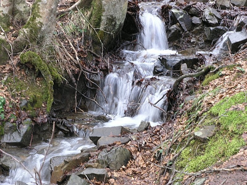 Ancora pi� in alto, dove si scioglie la neve ....