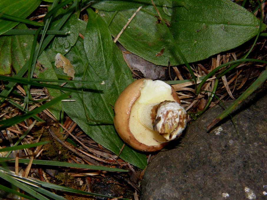 Ancora in Alto Adige