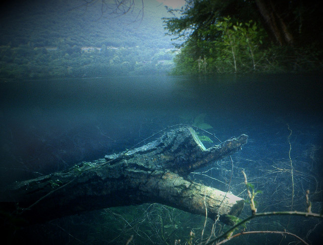 Immersioni in acqua dolce