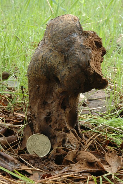 Funghi per me difficilissimi.