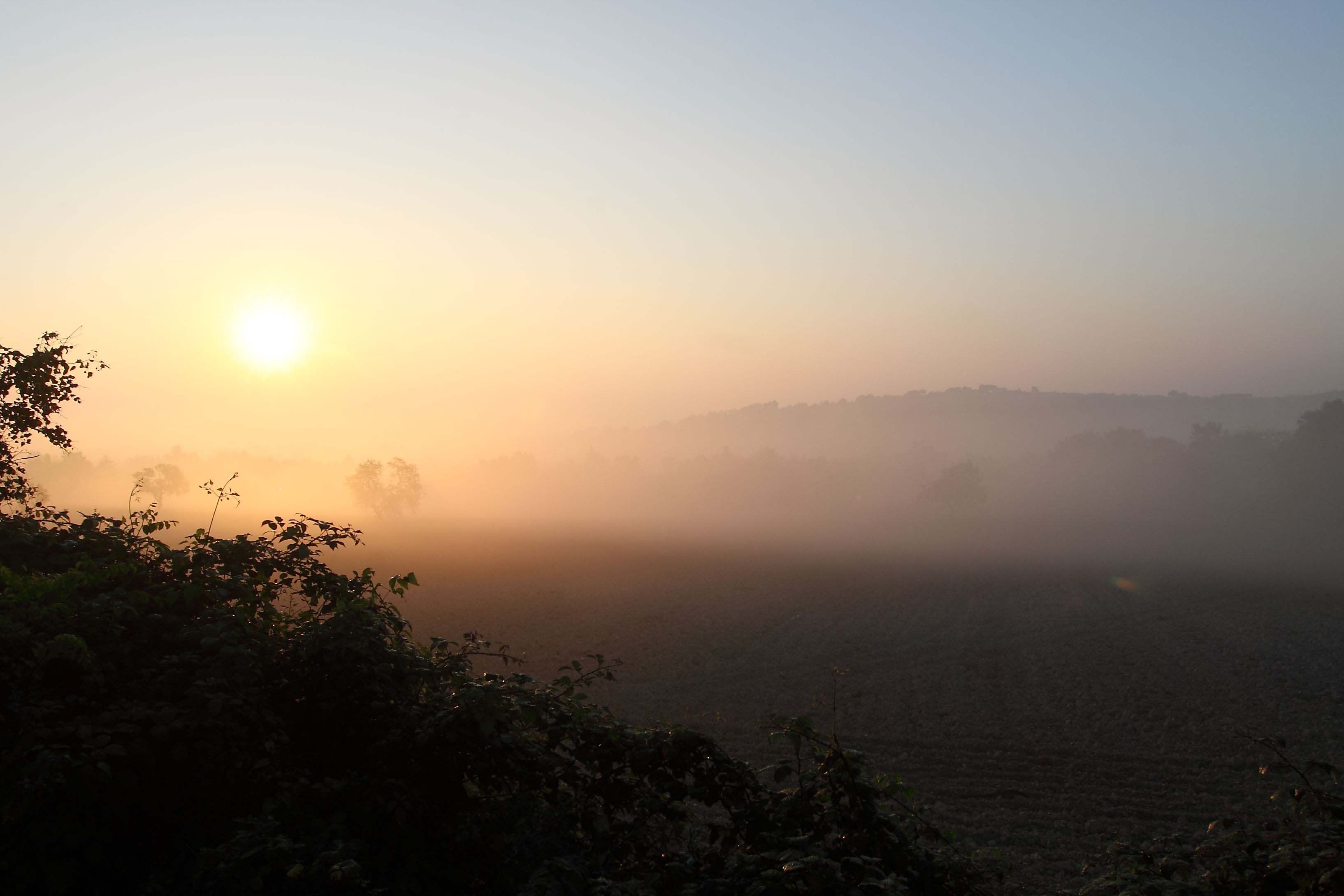 Questa mattina ..