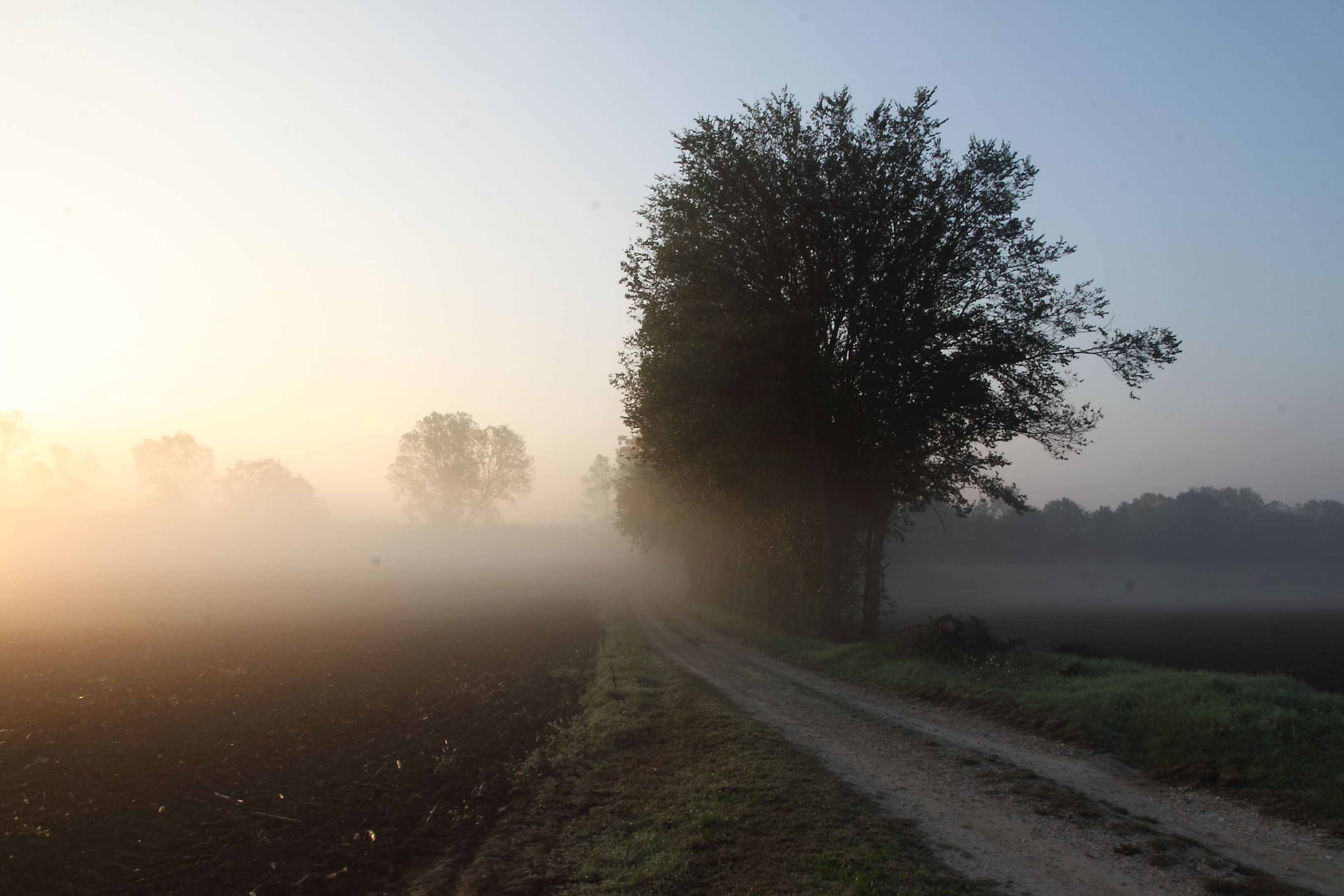 Questa mattina ..