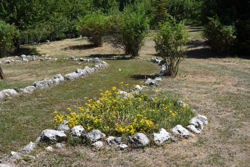 Giardino botanico 