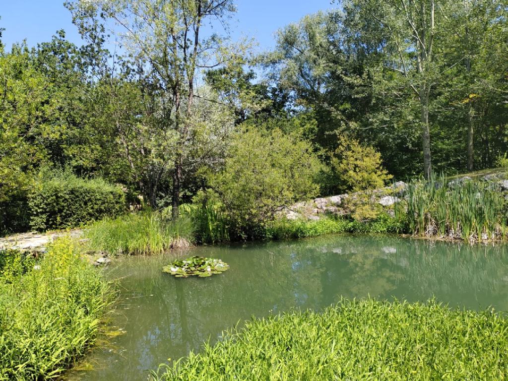 Giardino botanico 