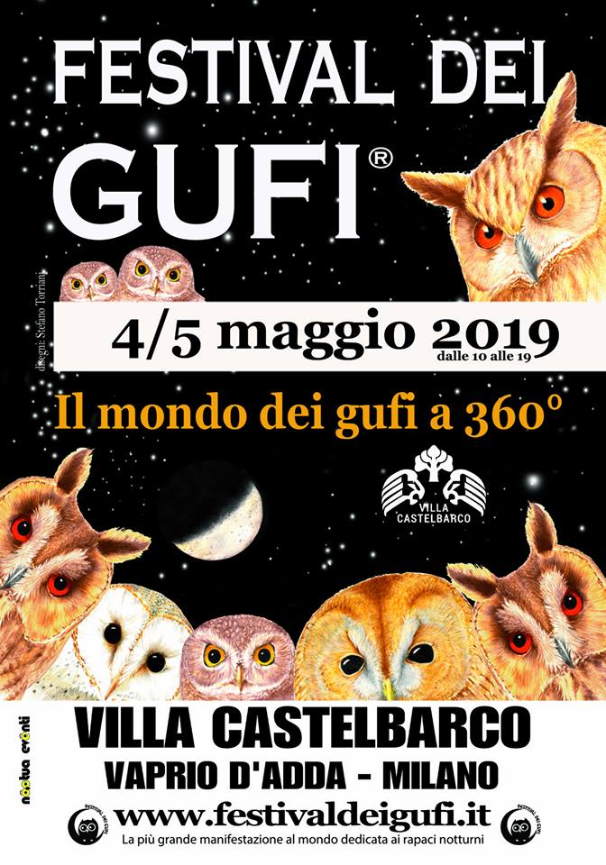 FESTIVAL DEI GUFI