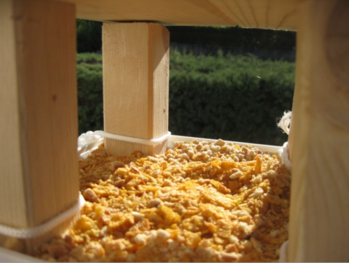 Birdbalcony 2011