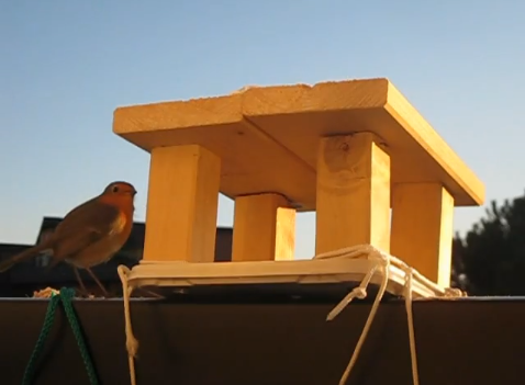 Birdbalcony 2011