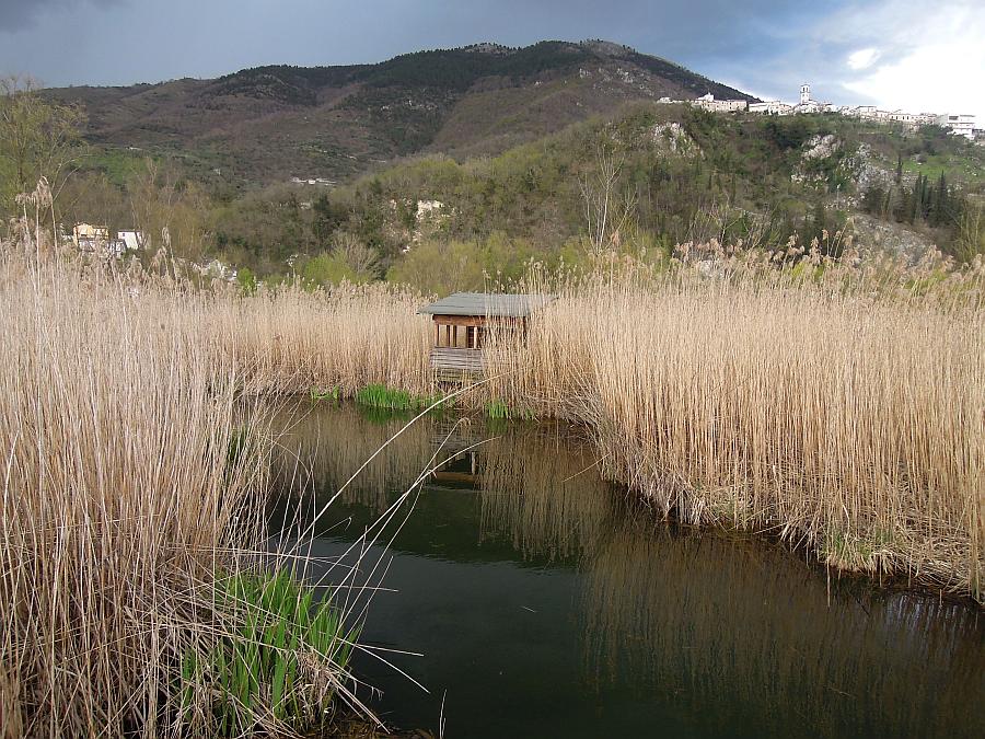 Tragedia consumatasi nell''indifferenza dei pi�