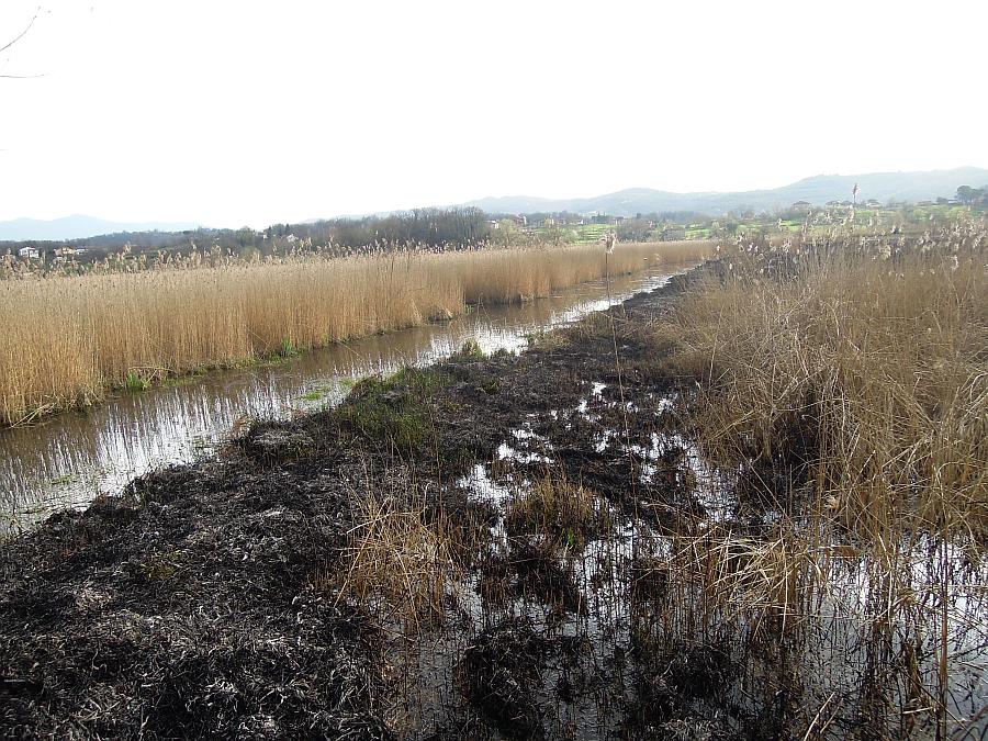 Tragedia consumatasi nell''indifferenza dei pi�