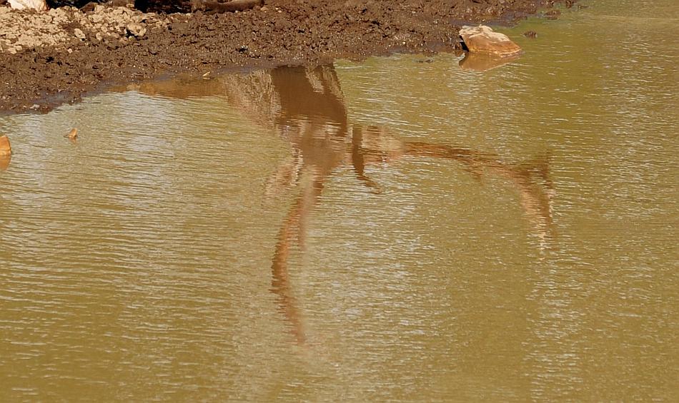 Un mondo riflesso...