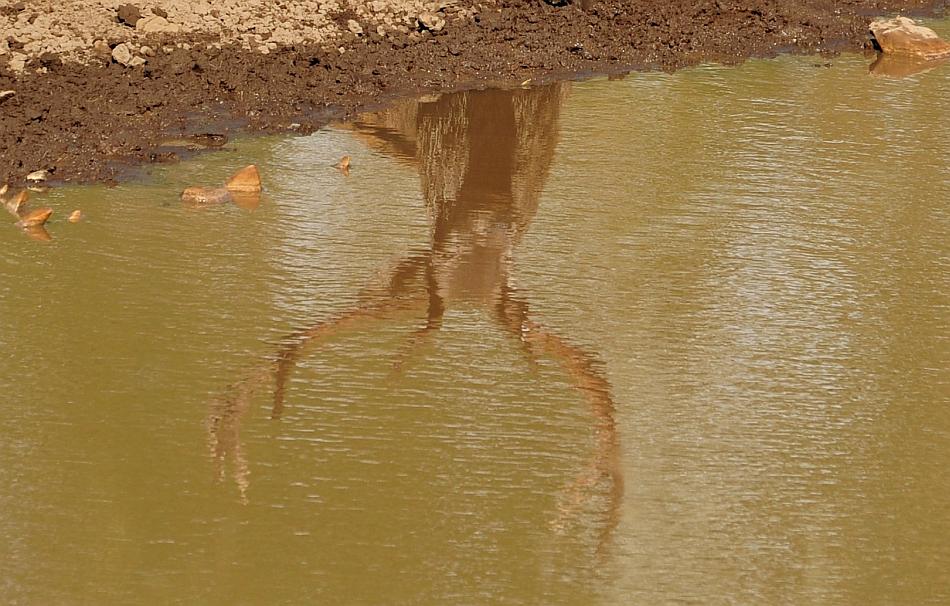 Un mondo riflesso...
