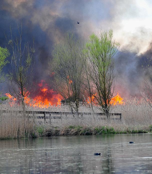 Tragedia consumatasi nell''indifferenza dei pi�