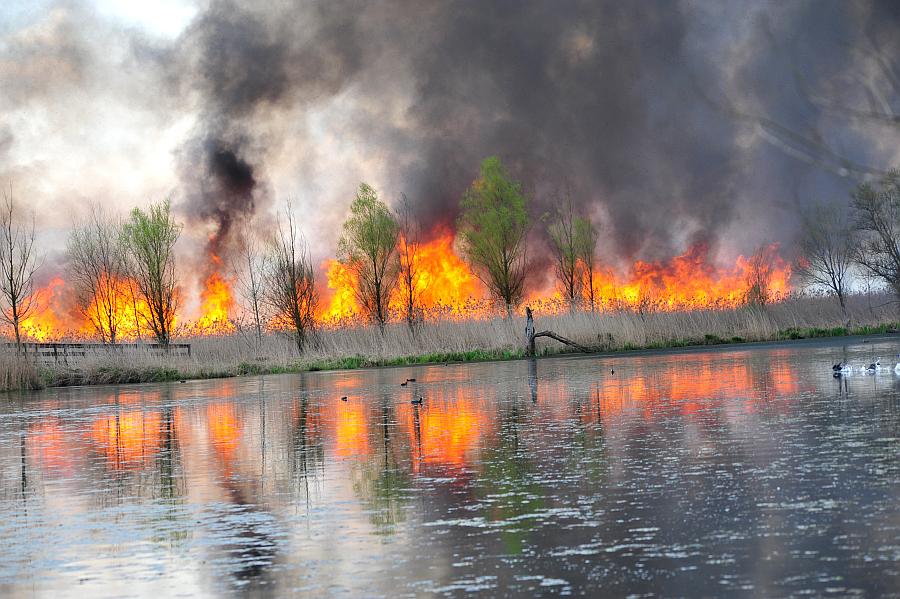 Tragedia consumatasi nell''indifferenza dei pi�