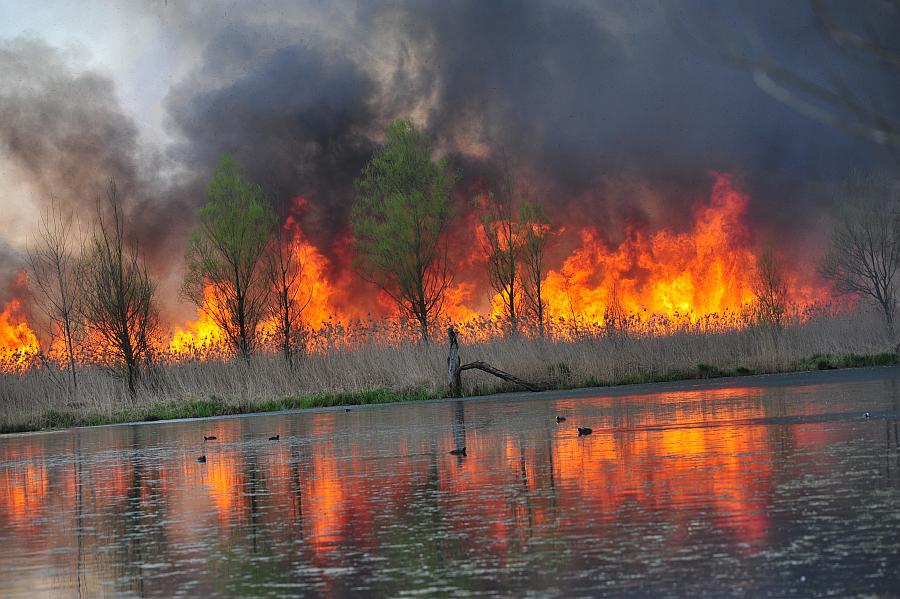 Tragedia consumatasi nell''indifferenza dei pi�