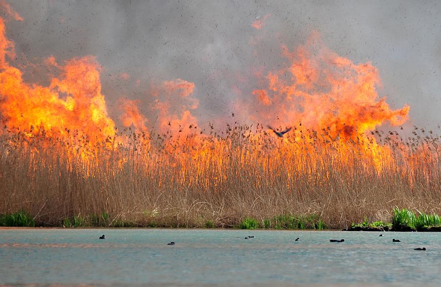 Tragedia consumatasi nell''indifferenza dei pi�