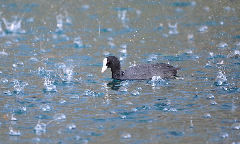 Tragedia consumatasi nell''indifferenza dei pi�