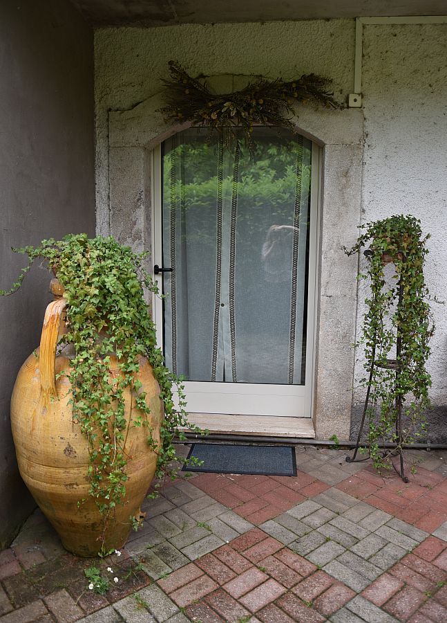 Nido sulle decorazioni del portone di casa