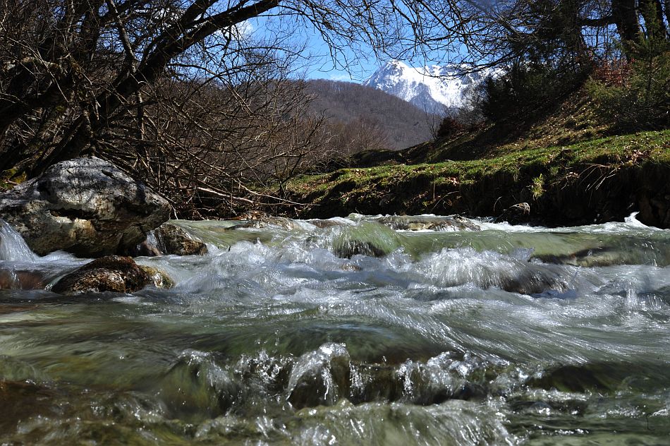 Torrenti, rivoli, cascatelle nel PNALM