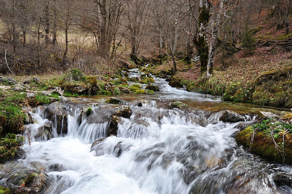 Torrenti, rivoli, cascatelle nel PNALM