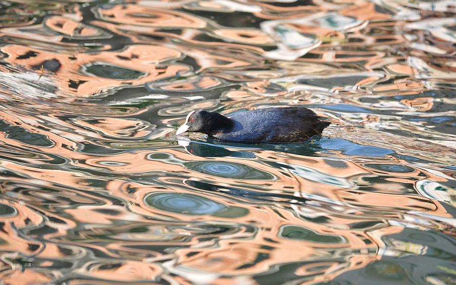 Un mondo riflesso...