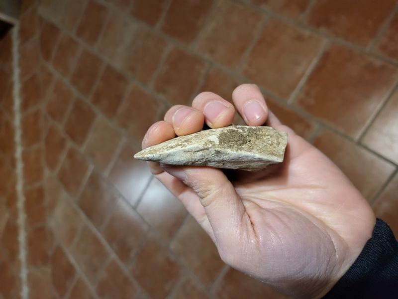 Dente o scheggia di roccia?