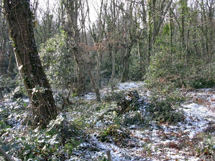 230 Febbraio vecchio ritrovamento
