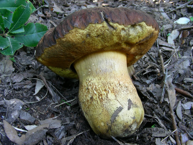 301 Aprile vecchio ritrovamento