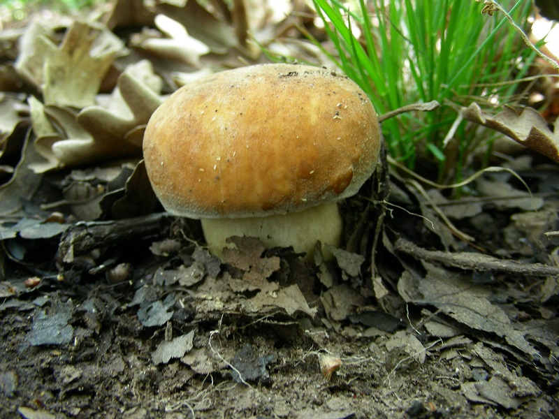 304 Aprile vecchio ritrovamento