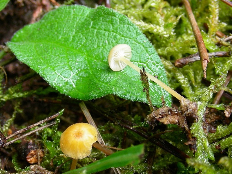 329 Maggio vecchio ritrovamento