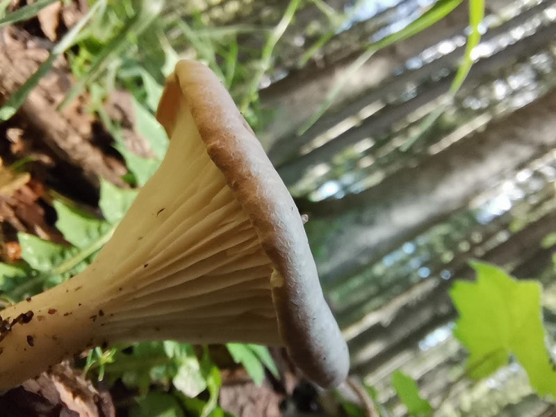 Ritrovamento di un mio amico