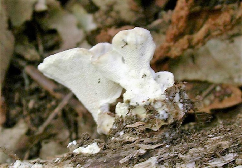 404 Agosto vecchio ritrovamento