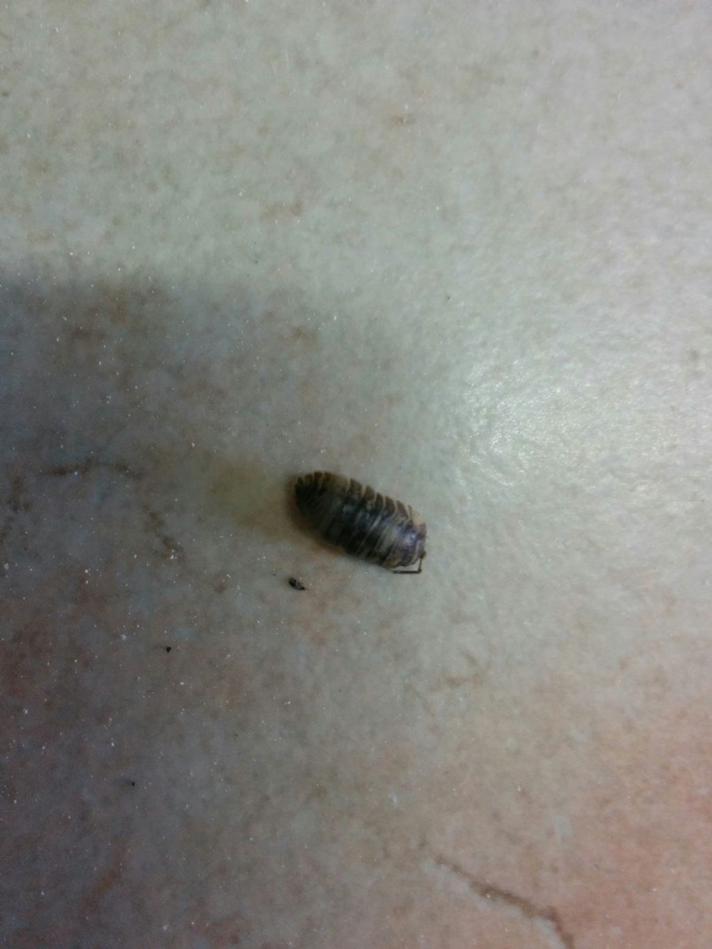 Aiuto identificazione