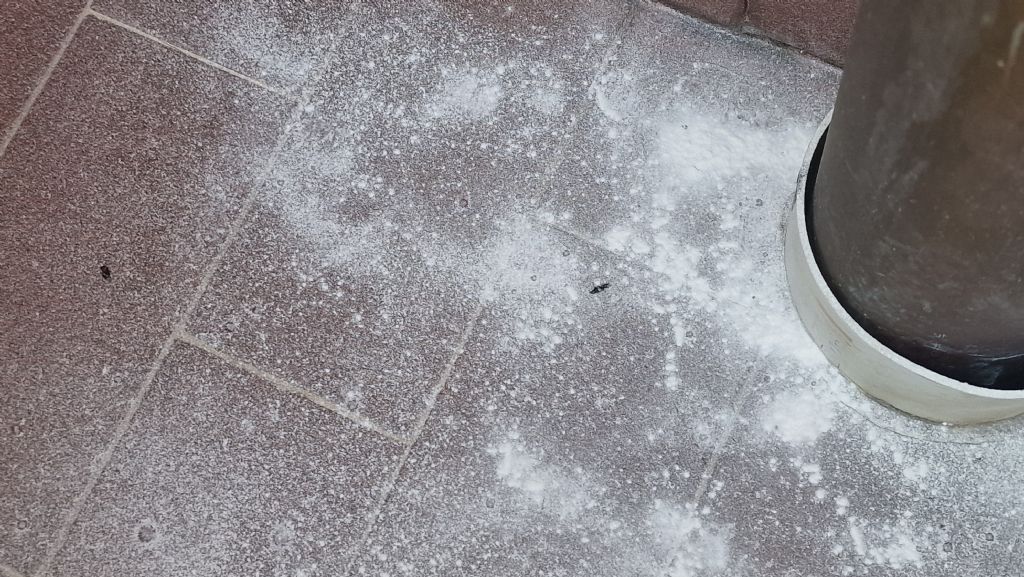 AIUTATEMI A IDENTIFICARE QUESTE FECI MISTERIOSE