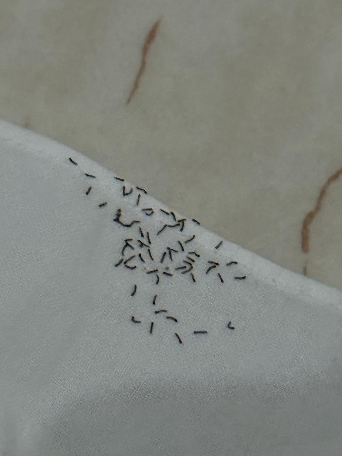 Strani insetti sulla tenda di casa