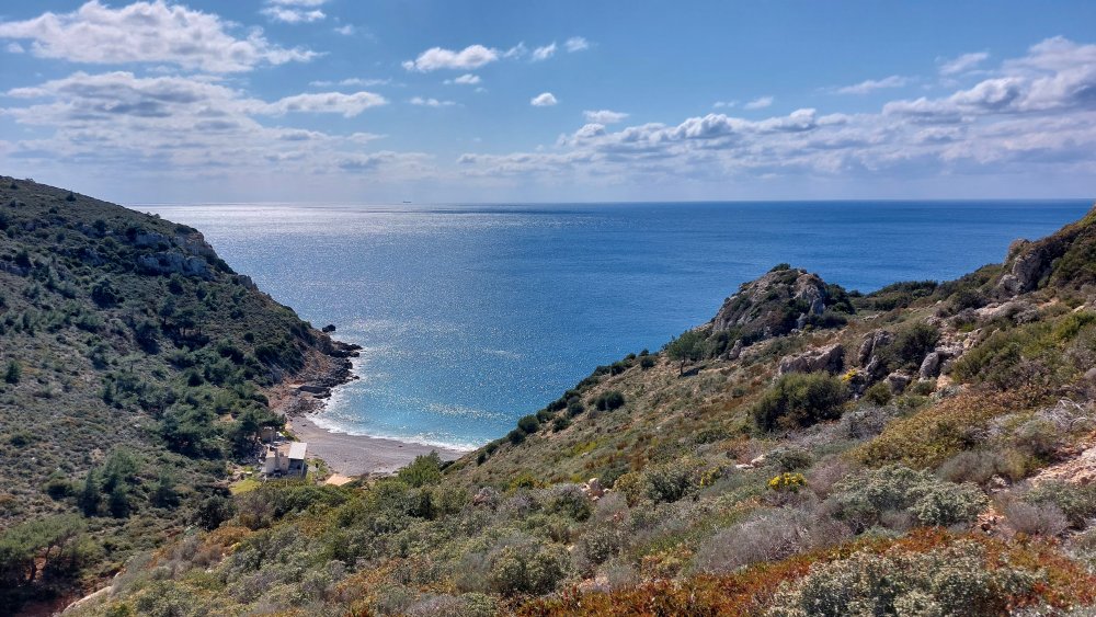 Prime Ophrys a Chios - Egeo orientale - Seconda parte
