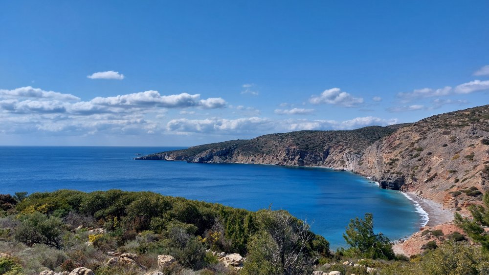 Prime Ophrys a Chios - Egeo orientale - Seconda parte