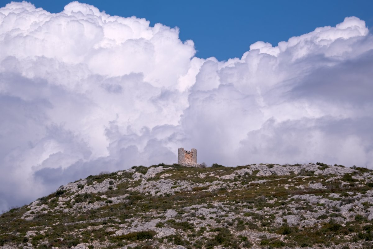 Due fotogeniche Ophrys e forse una novit� � Dalla Grecia con passione