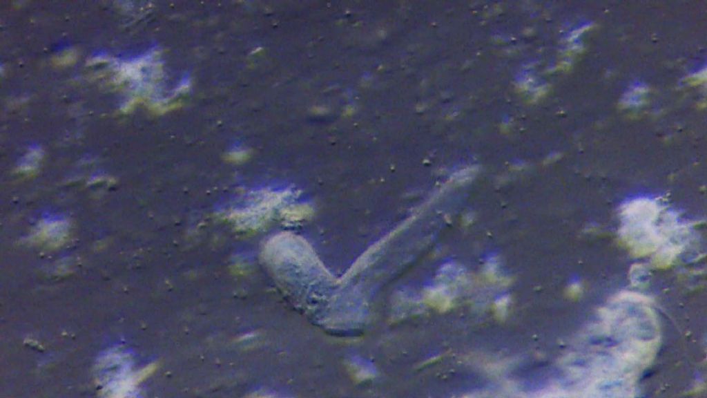 3 da determinare... qualcuno pu� aiutarmi??