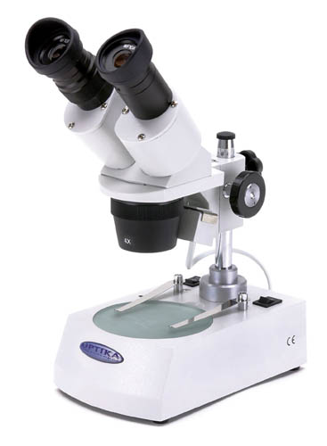 Qualcuno possiede questo stereomicroscopio?