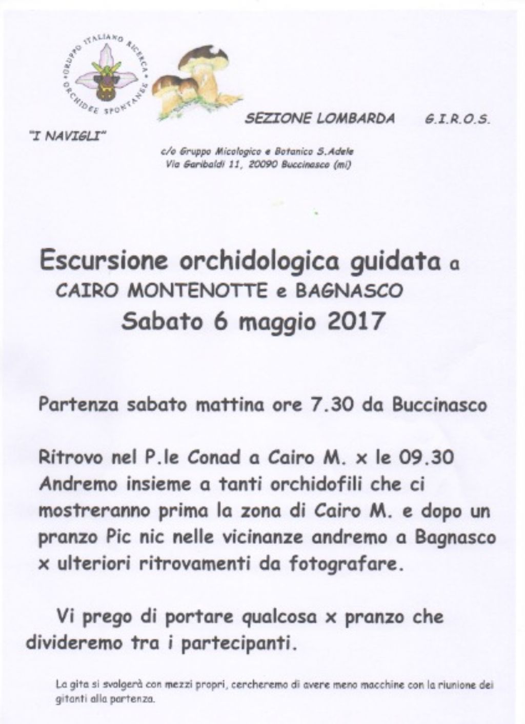 Escursione a orchidee a Cairo e Bagnasco