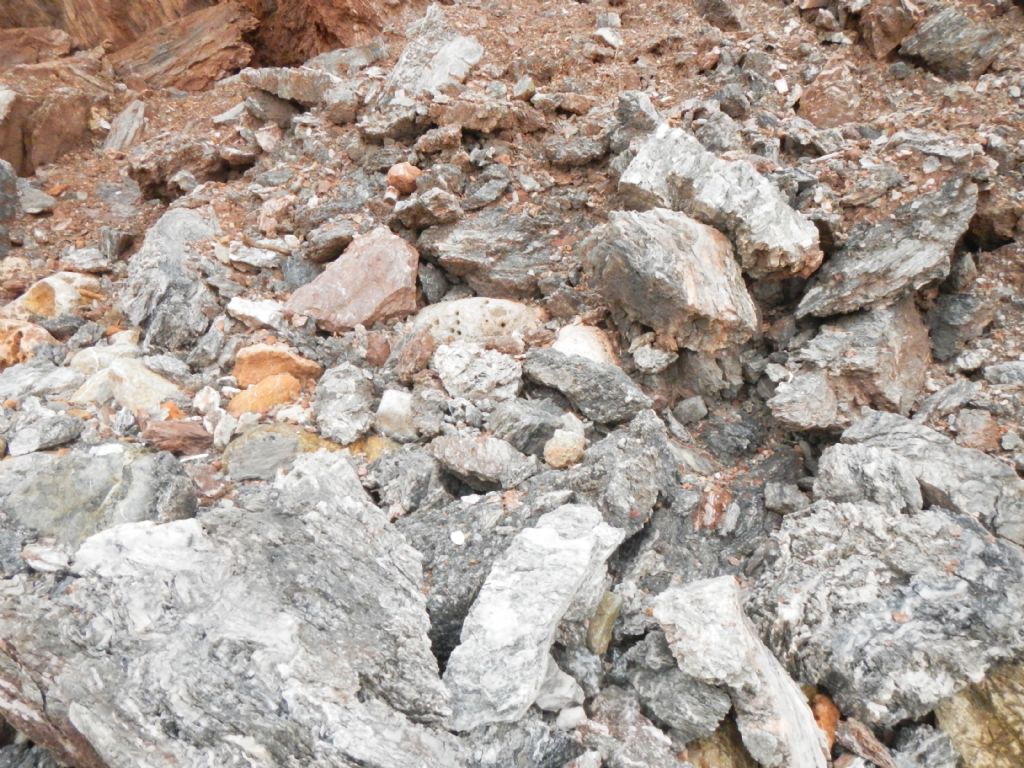 Roccia/minerale da determinare