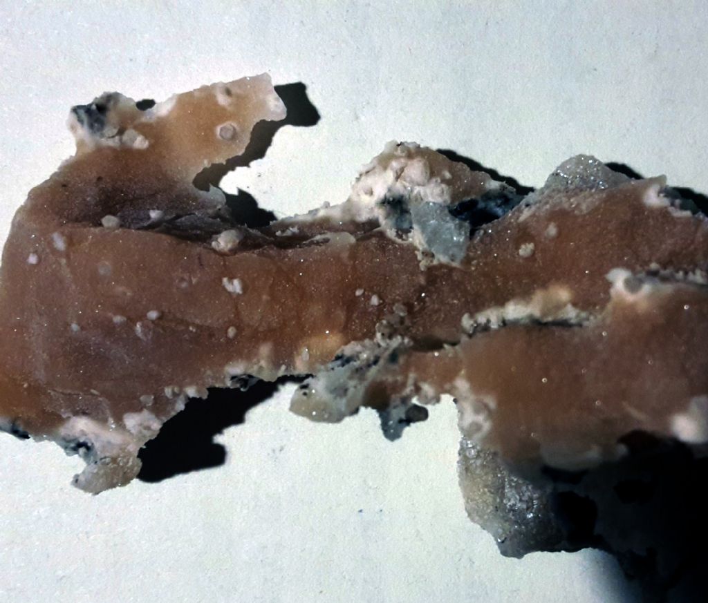 Roccia/minerale da determinare