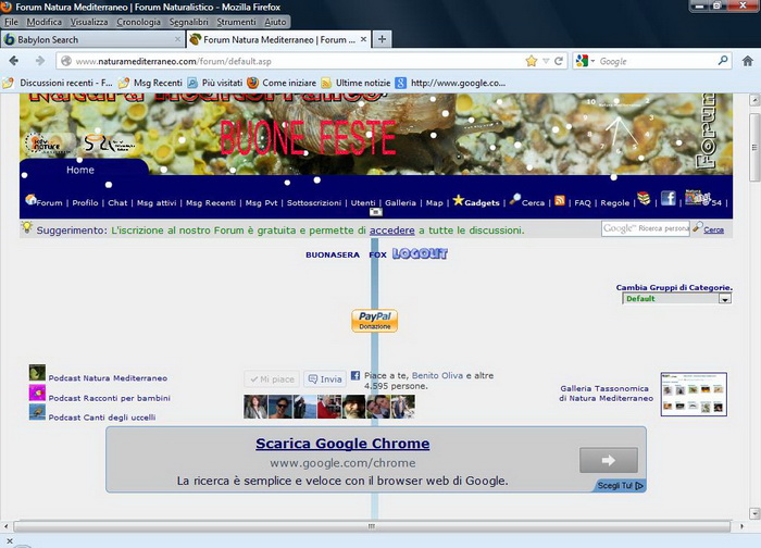 Il forum si visualizza con margini eccessivi?