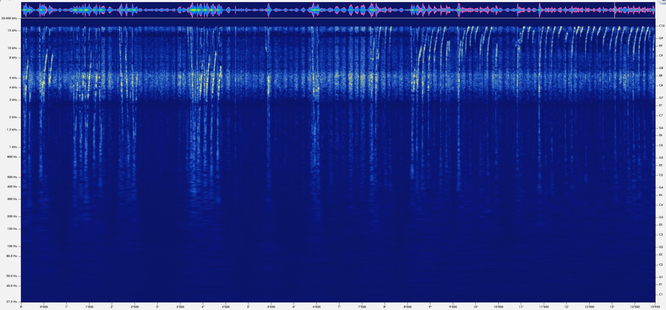 Verso misterioso a 30 khz (non chirottero)