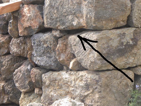 quiz - cosa cela quel muro?