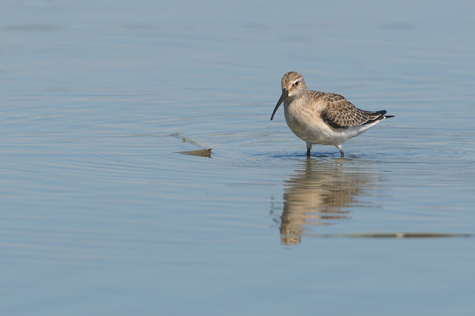 Mattinata al Centro cicogne