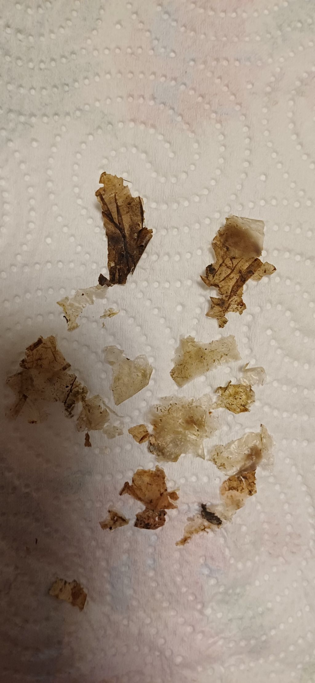 Identificazione tracce piccolo ospite nello split del condizionatore